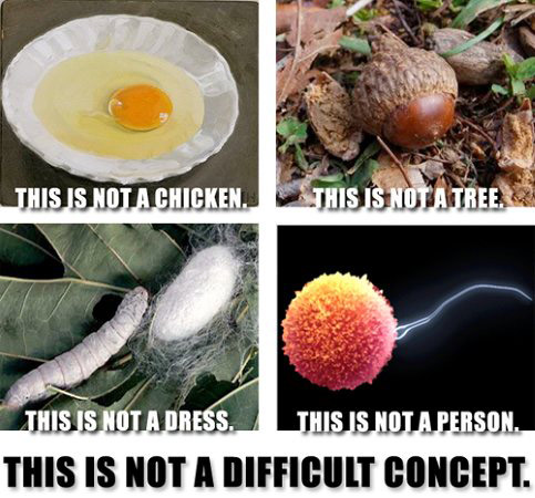 an egg is not a person