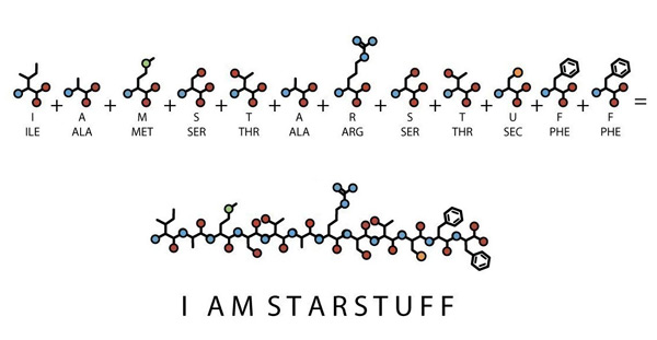 i am star stuff