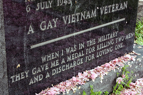 gay Viet Nam vet
