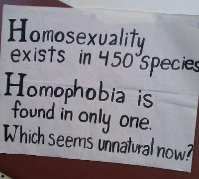 homophobia